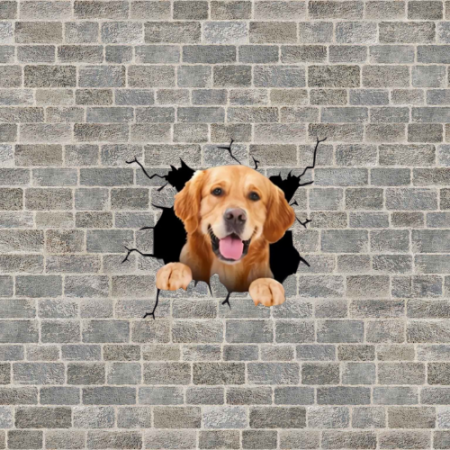 golden retriever pret golden retriever de vanzare despre golden retriever pui curiozitati despre golden retriever donez golden retriever alimente interzise golden retriever olx golden retriever [4]