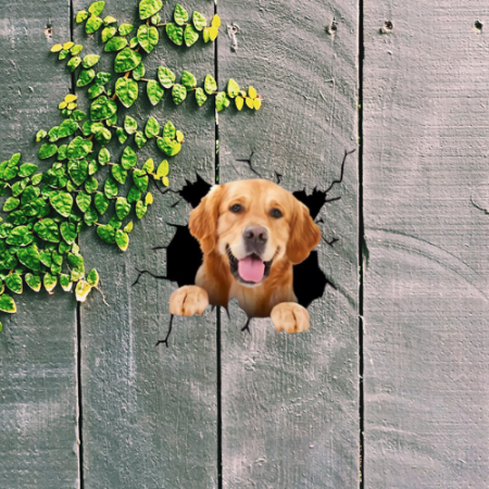 golden retriever pret golden retriever de vanzare despre golden retriever pui curiozitati despre golden retriever donez golden retriever alimente interzise golden retriever olx golden retriever [2]