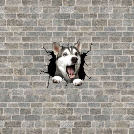 puii de husky husky de vanzare tipuri de husky boli la caini husky comportament caine husky corcitura husky husky siberian de vanzare husky olx [4]