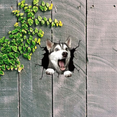 puii de husky husky de vanzare tipuri de husky boli la caini husky comportament caine husky corcitura husky husky siberian de vanzare husky olx [2]