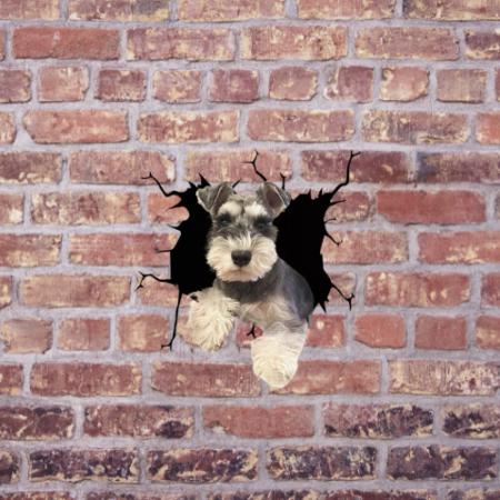 rase caini schnauzer schnauzer pitic olx schnauzer pitic tunsoare schnauzer pitic schnauzer pitic de vanzare canisa schnauzer pitic bucuresti hrana schnauzer pitic poze schnauzer pitic [2]