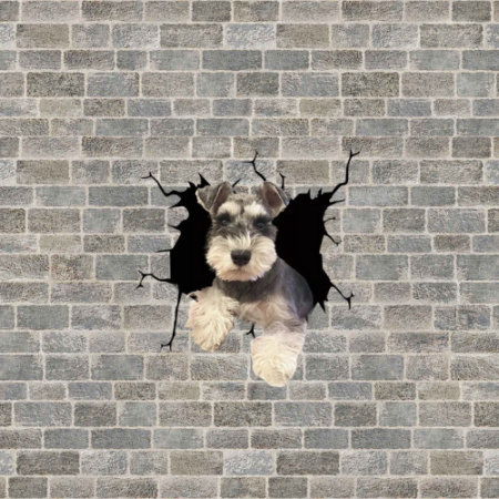 rase caini schnauzer schnauzer pitic olx schnauzer pitic tunsoare schnauzer pitic schnauzer pitic de vanzare canisa schnauzer pitic bucuresti hrana schnauzer pitic poze schnauzer pitic [4]