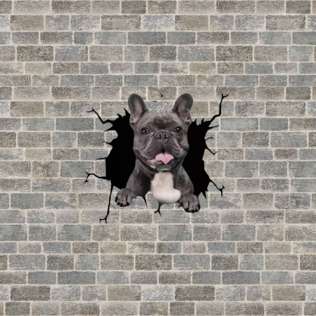 bulldog francez de vanzare pui de bulldog francez gratis bulldog francez la jumate bulldog francez adoptie bulldog francez pui olx bulldog francez olx oradea bulldog francez culori ingrijire bulldog francez [2]
