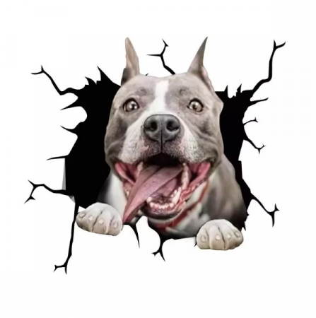 amstaff olx pui amstaff olx amstaff de vanzare amstaff olx bucuresti cod pedigree amstaff donez pui amstaff pui pitbull olx donez amstaff olx Cod pedigree amstaff Donez pui amstaff caine amstaff pui [5]