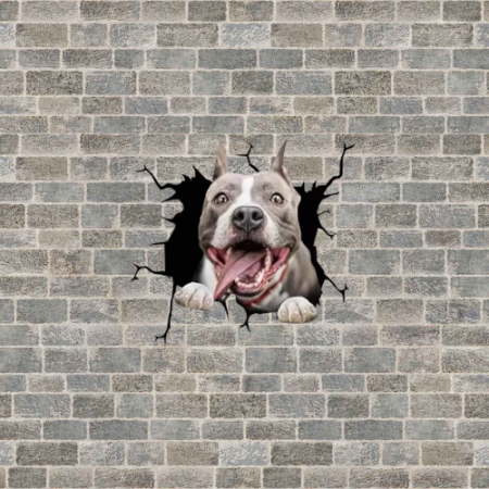 amstaff olx pui amstaff olx amstaff de vanzare amstaff olx bucuresti cod pedigree amstaff donez pui amstaff pui pitbull olx donez amstaff olx Cod pedigree amstaff Donez pui amstaff caine amstaff pui [4]