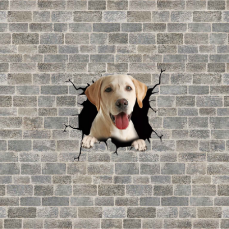 caini labrador de vanzare olx caine labrador poze despre labradori negrii labrador talie mica labrador alb labrador de vanzare caine labrador caracteristici pui labrador auriu de vanzare [2]