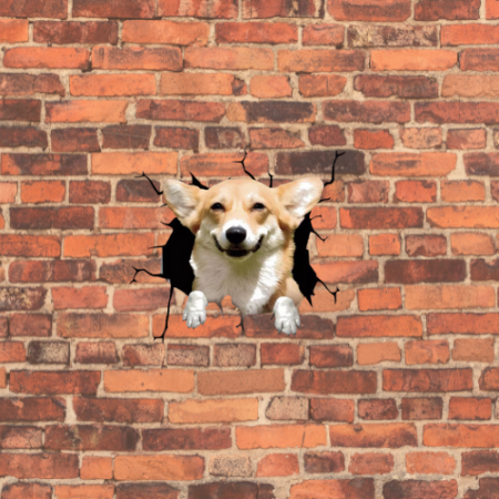 donez pui corgi caine corgi olx canisa corgi romania pui corgi de vanzare corgi pret moldova poze cu corgi corgi bucuresti corgi regina angliei caine corgi pret caine corgi caine rasa corgi pret caini corgi Catel corgi Canisa corgi romania Corgi pret Caine corgi olx Pui corgi pret Corgi bucuresti [4]