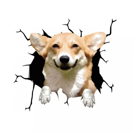 donez pui corgi caine corgi olx canisa corgi romania pui corgi de vanzare corgi pret moldova poze cu corgi corgi bucuresti corgi regina angliei caine corgi pret caine corgi caine rasa corgi pret caini corgi Catel corgi Canisa corgi romania Corgi pret Caine corgi olx Pui corgi pret Corgi bucuresti [5]