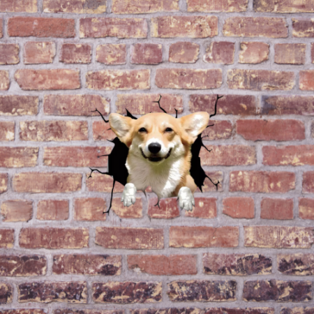 donez pui corgi caine corgi olx canisa corgi romania pui corgi de vanzare corgi pret moldova poze cu corgi corgi bucuresti corgi regina angliei caine corgi pret caine corgi caine rasa corgi pret caini corgi Catel corgi Canisa corgi romania Corgi pret Caine corgi olx Pui corgi pret Corgi bucuresti [2]
