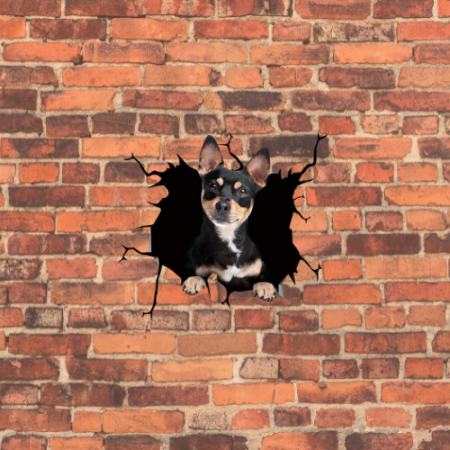 chihuahua mini toy de vanzare donez caine chihuahua chihuahua de vanzare bucuresti chiuaua pret chiuaua mini toy poze chiuaua chihuahua de vanzare chihuahua adoptie Donez caine chihuahua [4]