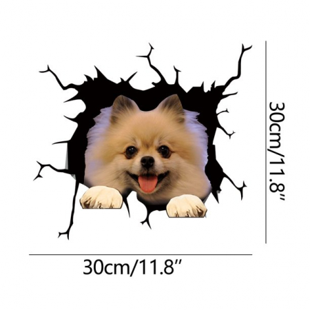 tipuri de caine pomeranian pomeranian vanzare donez caine pomeranian curiozitati despre pomeranian mini pomeranian alb pret pomeranian mini toy olx catel pomeranian olx donez pomeranian [1]