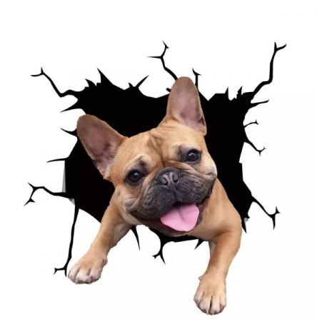 pui de bulldog francez ieftini bulldog francez blue olx bulldog francez olx bucuresti crescatorie bulldog francez donez bulldog francez olx bulldog francez pui olx bulldog francez olx [5]