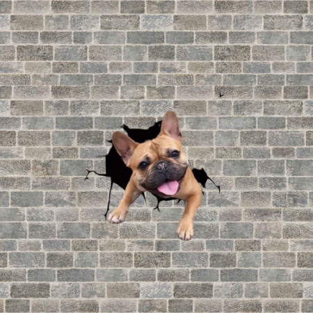 pui de bulldog francez ieftini bulldog francez blue olx bulldog francez olx bucuresti crescatorie bulldog francez donez bulldog francez olx bulldog francez pui olx bulldog francez olx [2]
