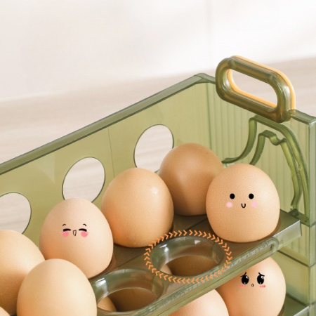 Suport Organizator pentru Oua, , pentru Frigider, Verde transparent, Capacitate 20 oua, Doua straturi, cu Data de Expirare, 25.5x10x17 cm [5]