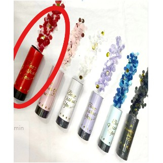 Confetti - Tun de Confetti, , Best Wishes 11 x 4 cm, Model Buline din Hartie si Folie, Rosu