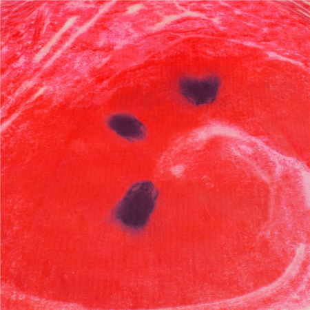 Umbrela de plaja pliabila, Sersimo BU020, 180cm, pepene verde [5]