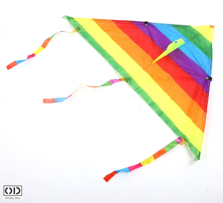 * zmeu zburator copii * zmeu curcubeu * zmeu aripi 120 cm * zmeu PVC textil * zmeu cu ata inclusa  ---  ### [4]