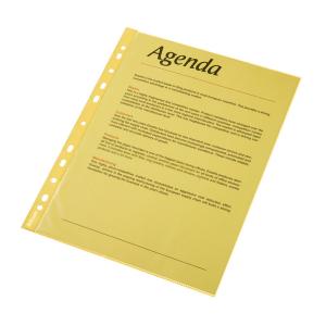 Folii simple pentru protectie documente - Folie protectie ESSELTE, A4, cristal, 55 mic, 10folii/set - galben