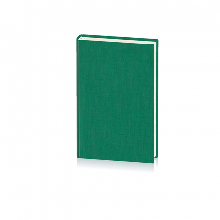 Produse din hartie - AGENDA A5 ZILNICA VERDE 2023 BASIC EGO