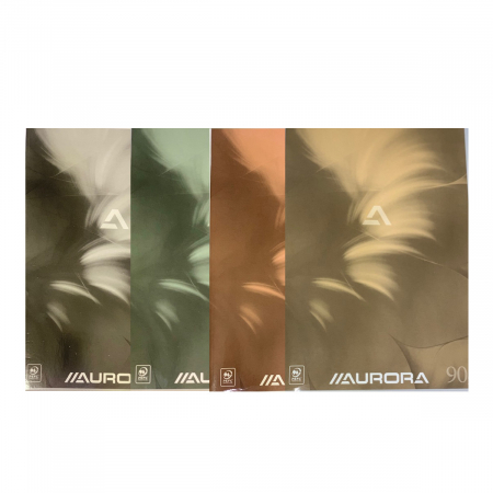 Caiete - Caiet A4, 60 file - 90g/mp, liniat stanga, coperta carton lucios, AURORA Mano - dictando