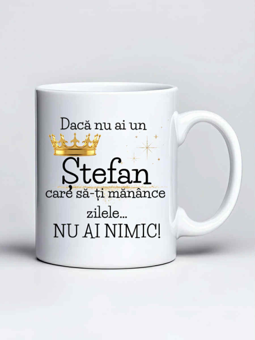 Cana personalizata - Daca nu ai un Stefan care sa-ti manance zilele... nu ai nimic [1]
