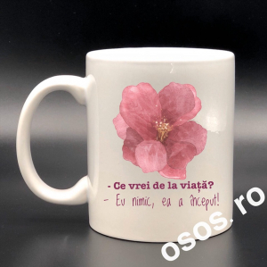 Căni personalizate - Cana personalizata - Ce vrei de la viata?