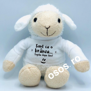 Plusuri personalizate - Oita de plus personalizata - Sunt ca o branza topita dupa tine