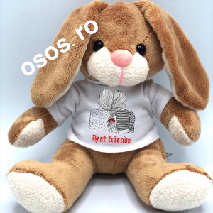 Plusuri personalizate - Iepuras - Jucarie De Plus Personalizata - Best friends