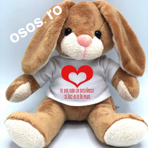 Plusuri personalizate - Iepuras - Jucarie De Plus Personalizata - Te voi iubi la nesfarsit si inc-o zi in plus