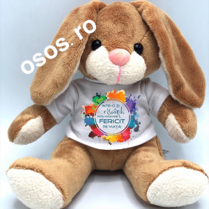 Plusuri personalizate - Iepuras - Jucarie De Plus Personalizata - Intr- o zi riscand, poti ramane fericit pe viata