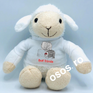 Plusuri personalizate - Oita - Jucarie De Plus Personalizata - Best friends