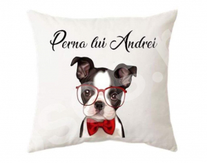 Perne personalizate - Pernă - Perna lui Andrei