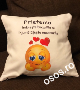 Perne personalizate - Pernă personalizată - Prietenia indoieste bucuriile si injumatateste necazurile