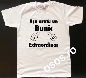 Tricouri familiste - Tricou personalizat bărbătesc - Asa arata un bunic extraordinar