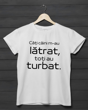Tricouri motivationale - TRICOU PERSONALIZAT DAMA - Cati caini m-au latrat, toti au turbat