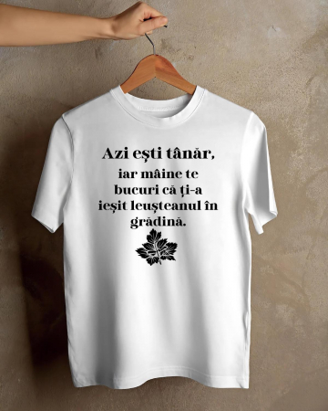 Tricouri amuzante - TRICOU PERSONALIZAT PENTRU BARBATI - Azi esti tanar, iar maine te bucuri ca ti-a iesit leusteanul in gradina