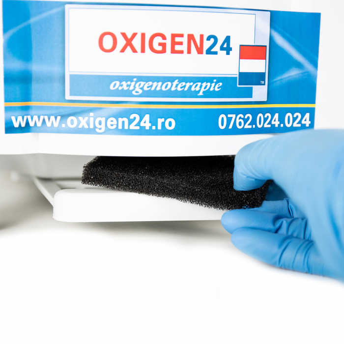 Concentrator Oxigen cu nebulizator RespiroX 10 LPM [8]