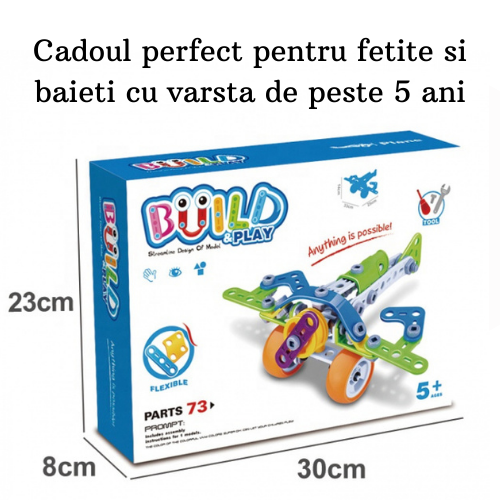 Build and Play Avionul [3]