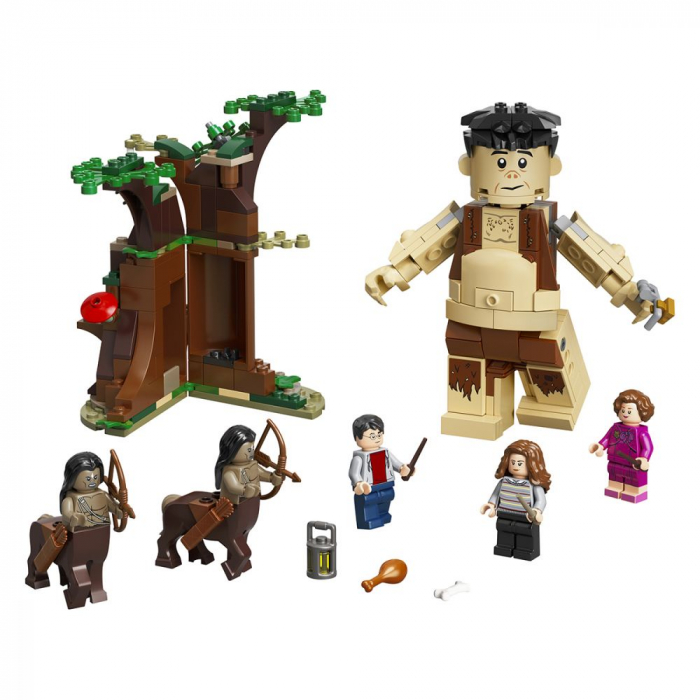 LEGO HARRY POTTER  PADUREA INTERZISA INTALNIREA DINTRE GRAWP SI UMBRIDGE 75967 [2]