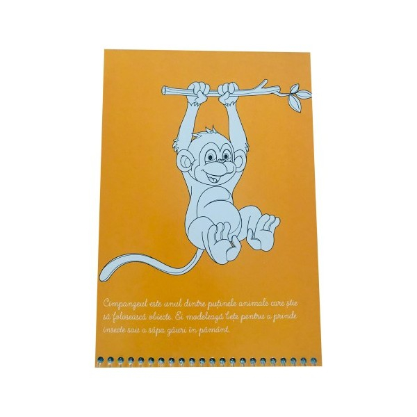 Picteaza Cu Apa - Aventuri in jungla [6]