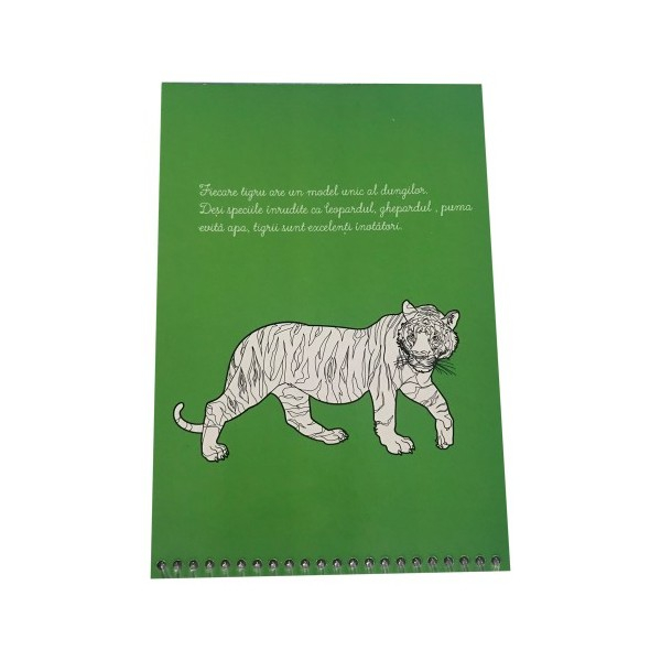 Picteaza Cu Apa - Aventuri in jungla [4]