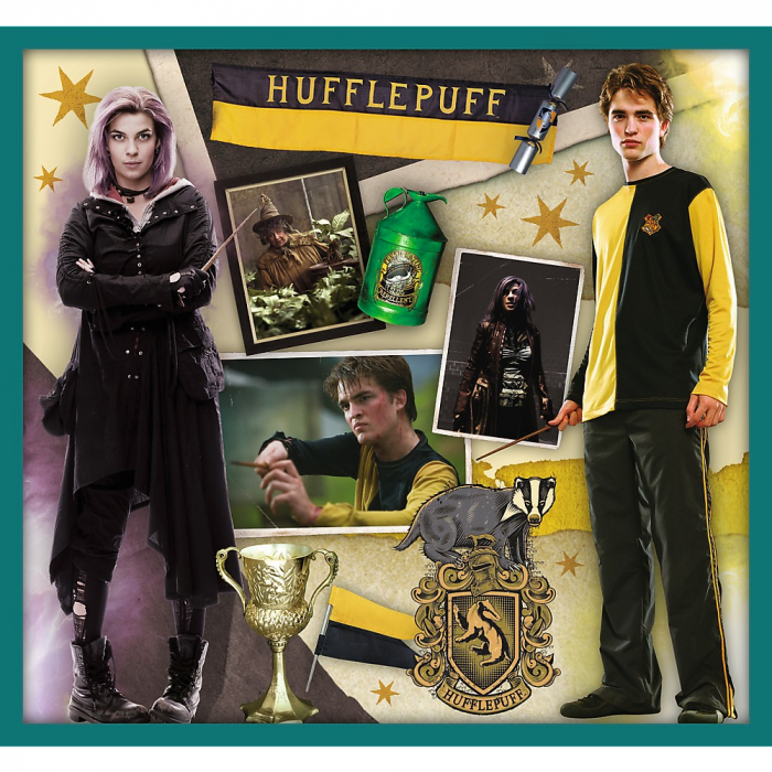 PUZZLE TREFL 10IN1 HARRY POTTER IN LUMEA LUI HARRY POTTER [9]