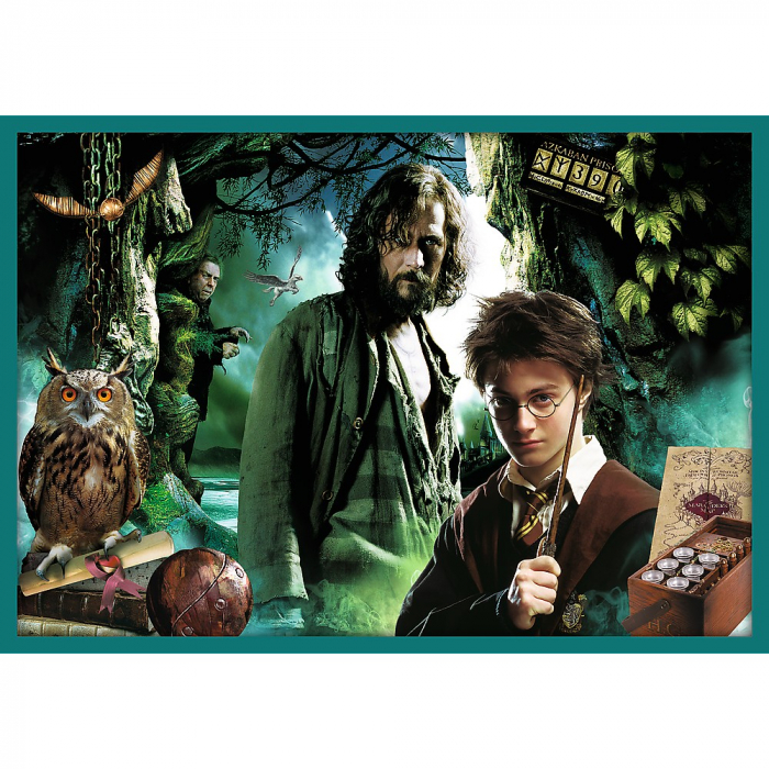 PUZZLE TREFL 10IN1 HARRY POTTER IN LUMEA LUI HARRY POTTER [7]