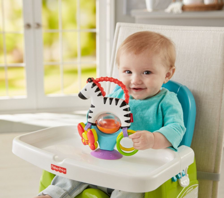 Jucarie bebelusi Fisher Price - Zebra cu activitati [2]