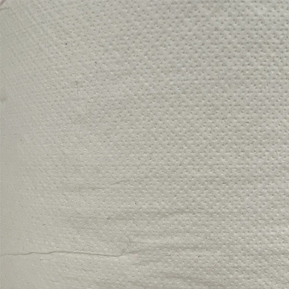 C140.260_Paint_Experts_Servetele_albe_2_strat_celuloza_pura_848buc_275mmx225mm [2]