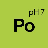 92001_Koch_Chemie_Po_Pol_Star_solutie_curatare_textile_piele_si_alcantara_1ltr [3]