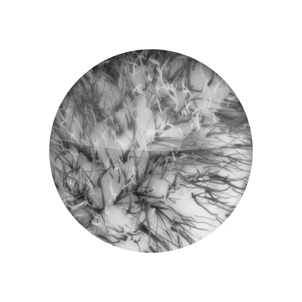 CW-VWM_chemicalWorkz_Viscose_Wash_Mitt_1400GSM_manusa_microfibra_spalare_auto_28×18×5cm [2]