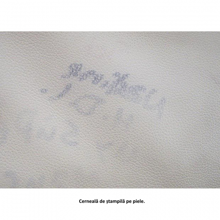 11060_Colourlock_Ball_Point_Pen_Remove_solutie_curatare_pix_9,5_ml [5]