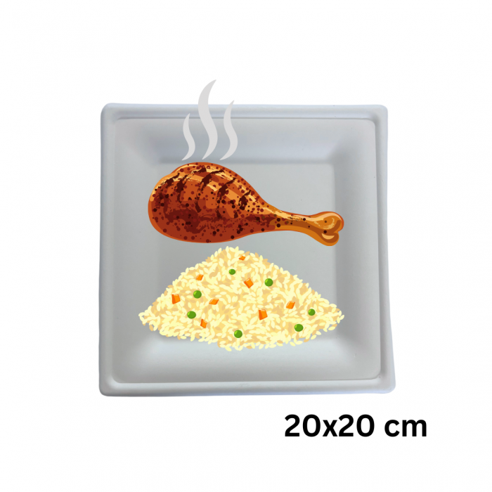 farfurii-unica-folosinta-din-trestie-zahar-patrate-paperbag [1]