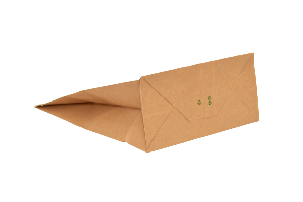 punga-transport-PaperBag-pungi-hartie [2]